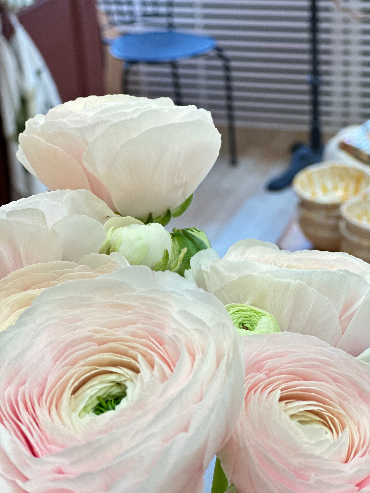 Lördag, påskafton och öppet 11:00-15:00 välkomna 💛🌼

Blommor, presenter och härliga inredningsdetaljer.