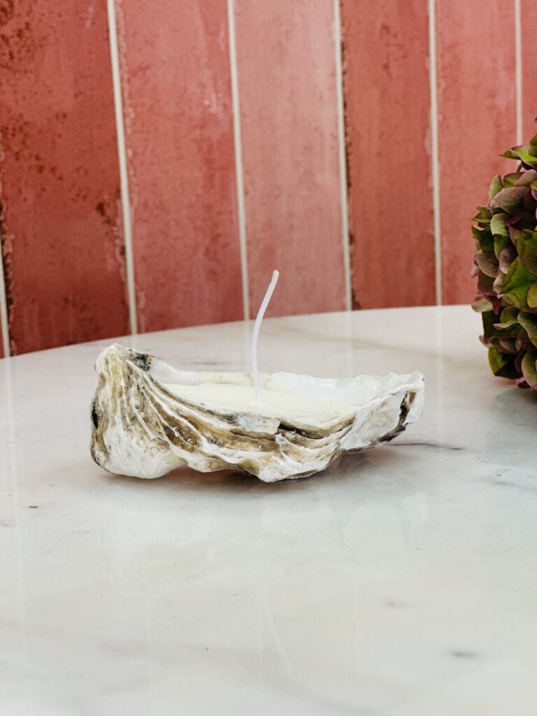 Oyster Shell Candle – Mellanstorlek